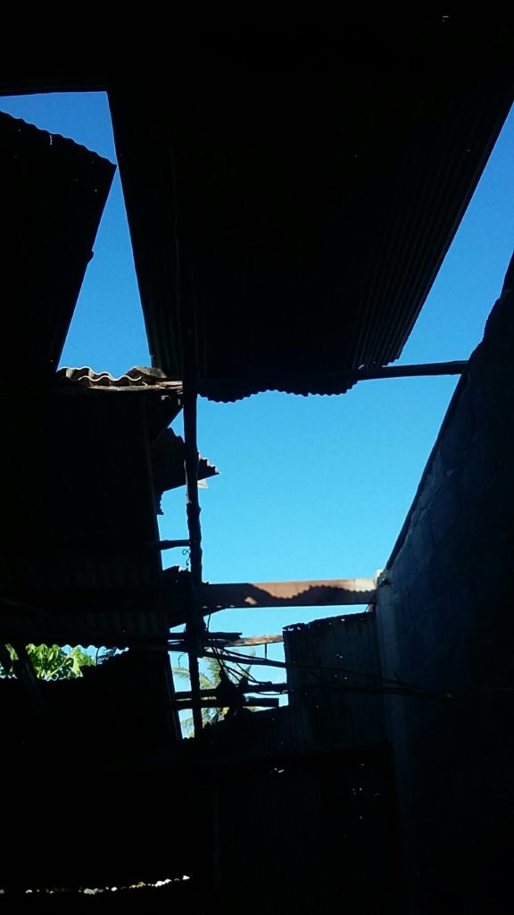 Roof02