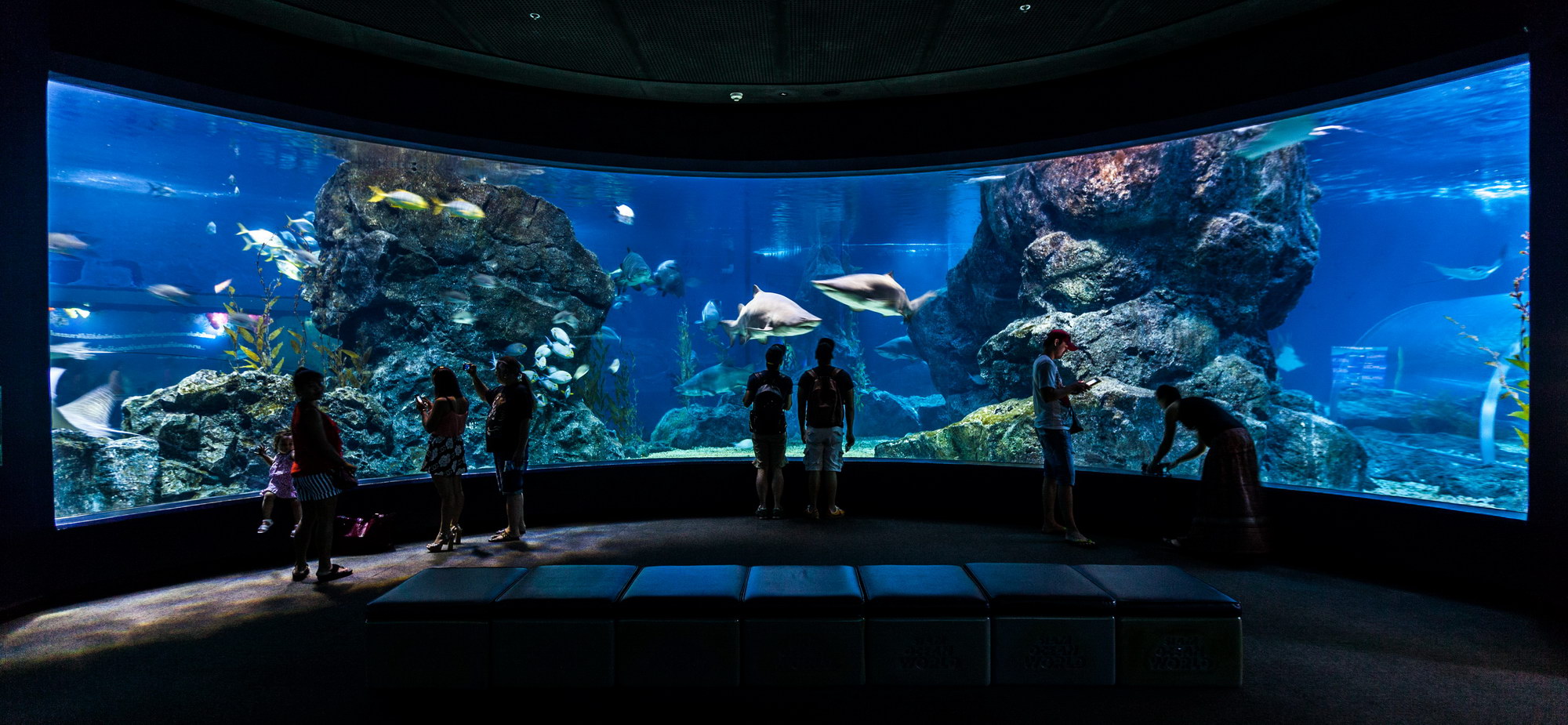 Sealife Bangkok Ocean World