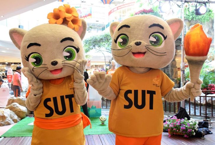 sut