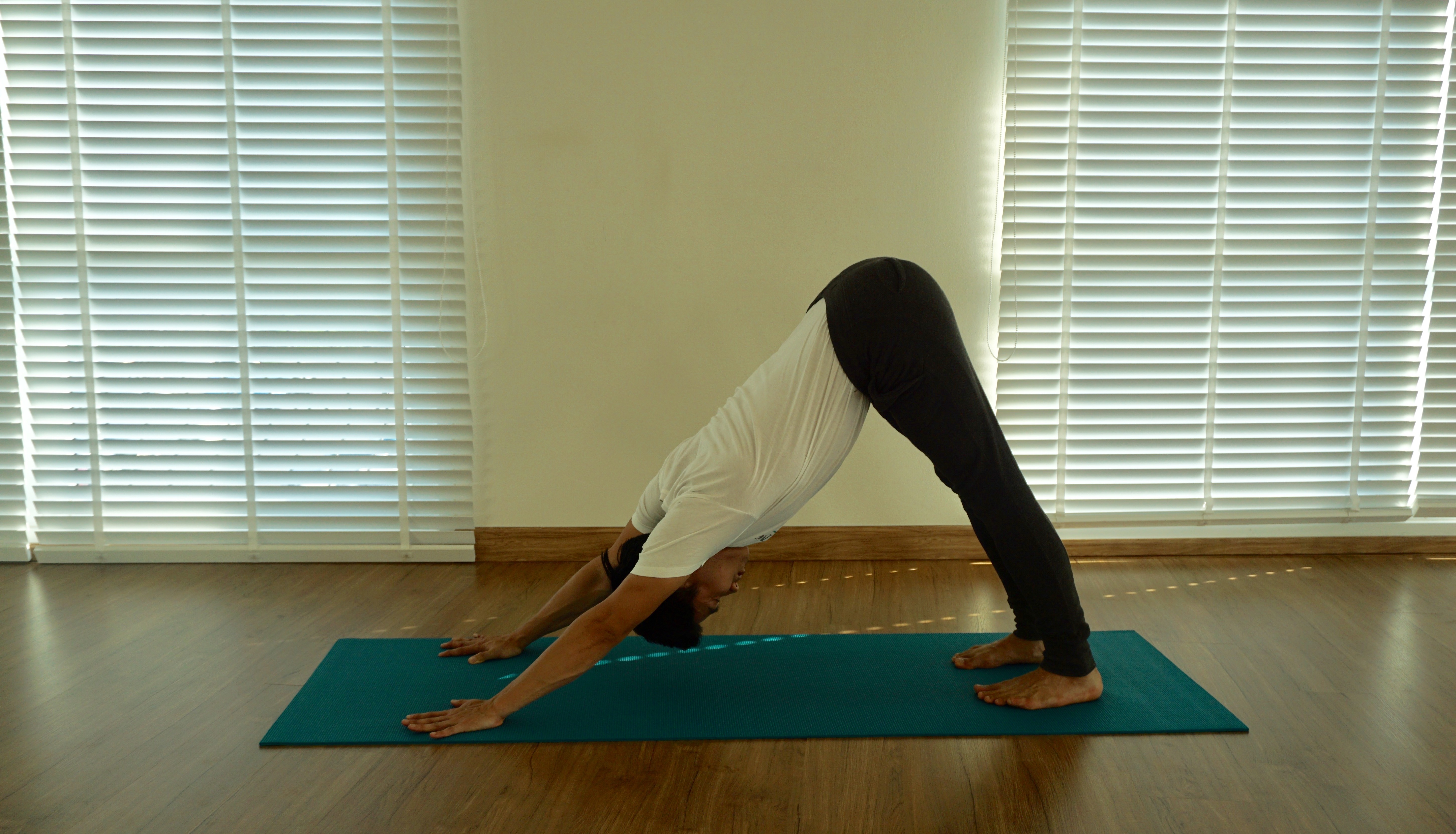 ท่าสุนัขยืดลง (Downward-Facing Dog )