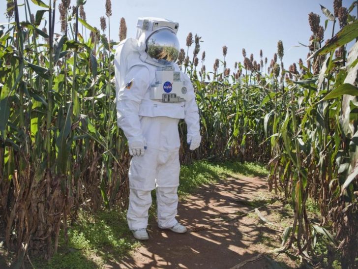 spacefarm