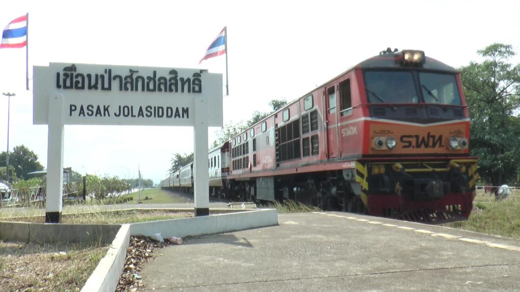 ป่าสัก01