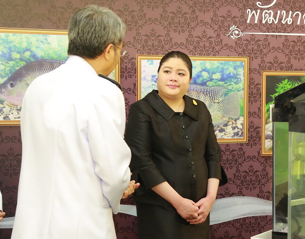 พระองค์เจ้าอทิตยา1