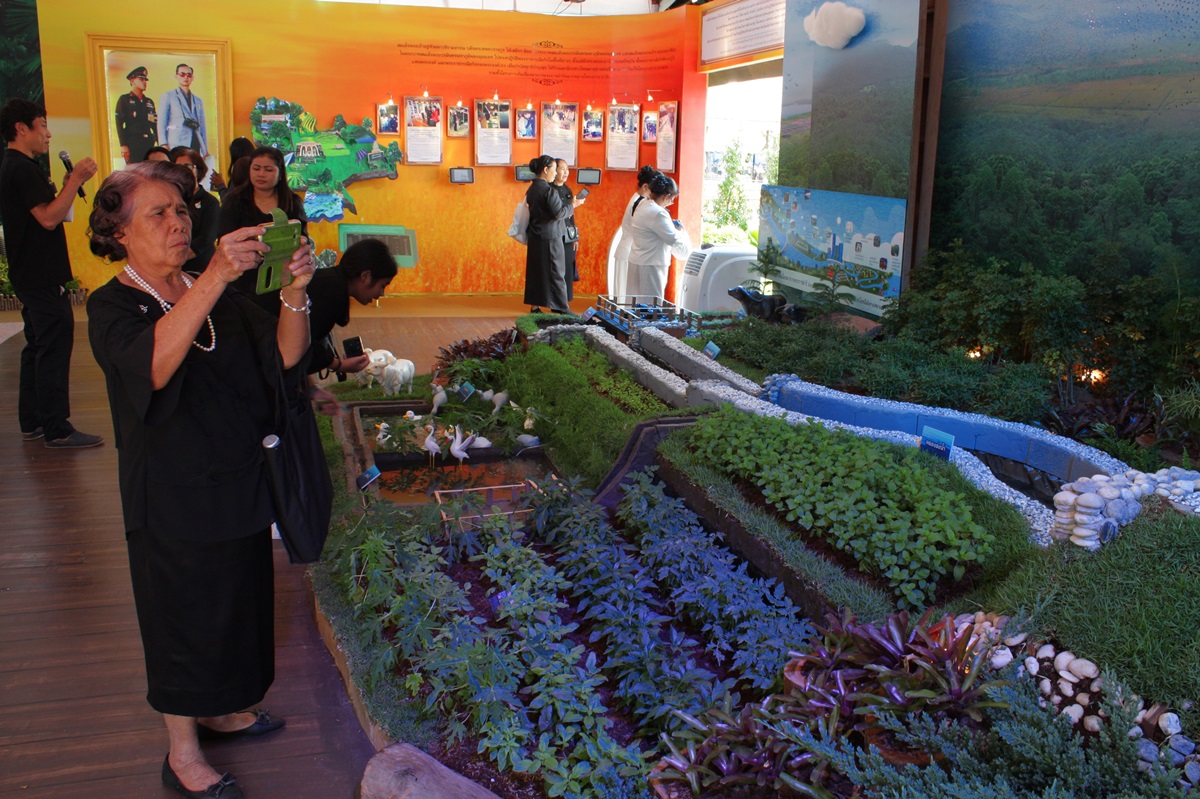 พิพิธภัณฑ์ธรรมชาติ (5)