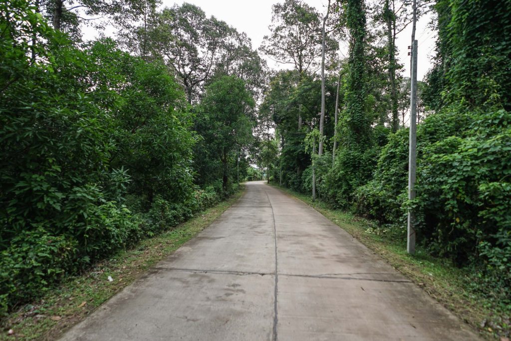 BAN CHIANG WORLD HERITAGE SURVEY
