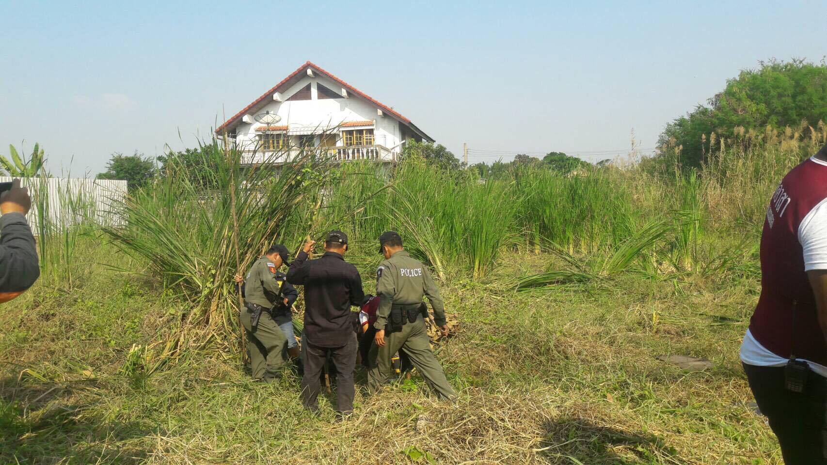 เซลส์2