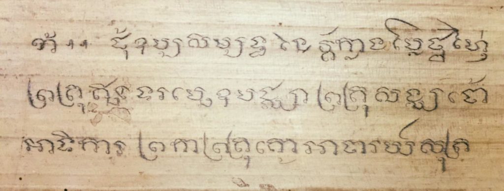 ใบลาน