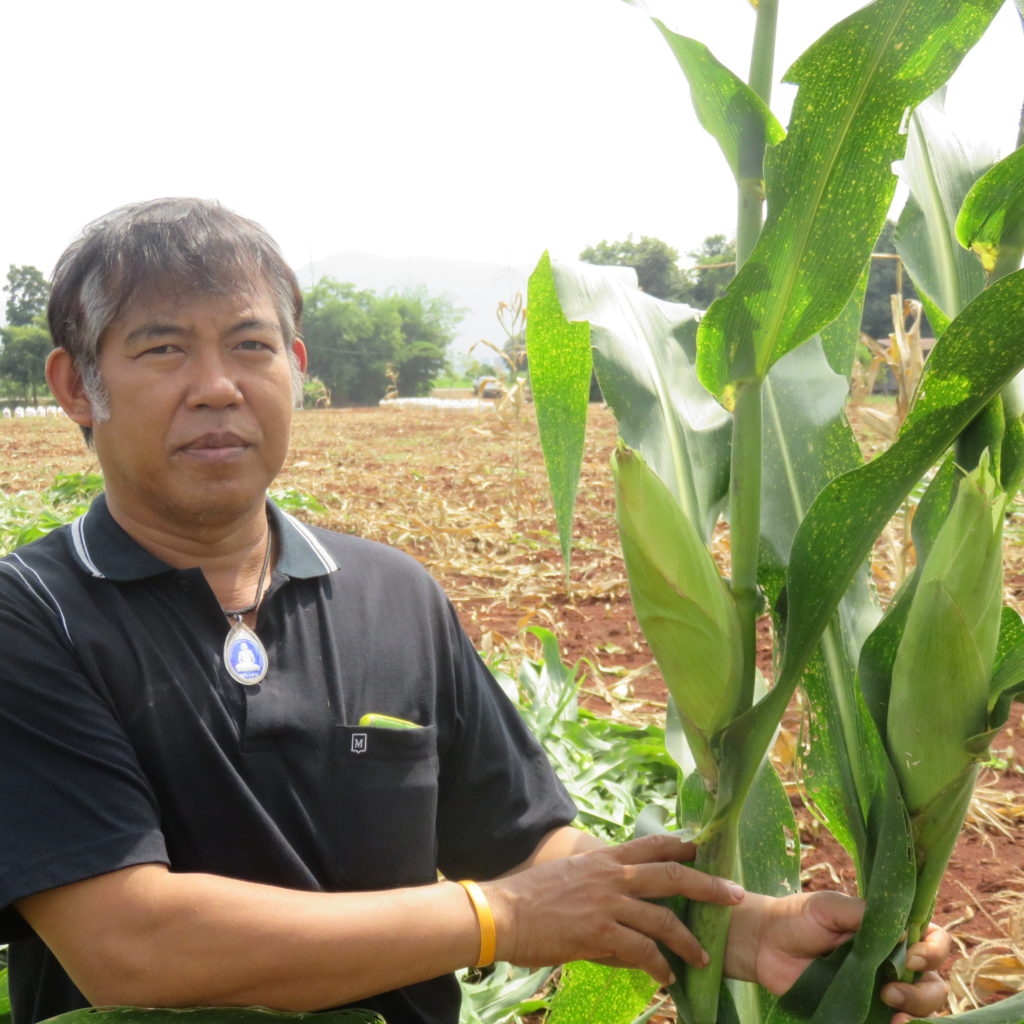 12.คุณสายัน