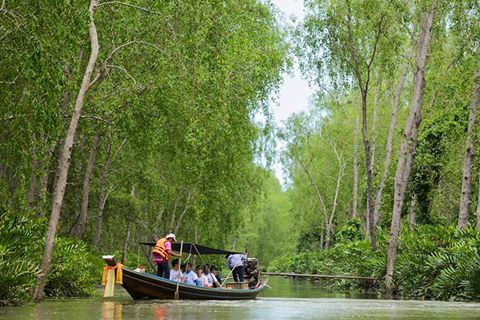 ล่องเรือเล็กที่ "บ้านลีเล็ด" อเมซอนเมืองไทย สุราษฎร์ธานี