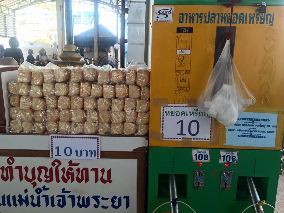 วัด ให้อาหารปลา ทำบุญ