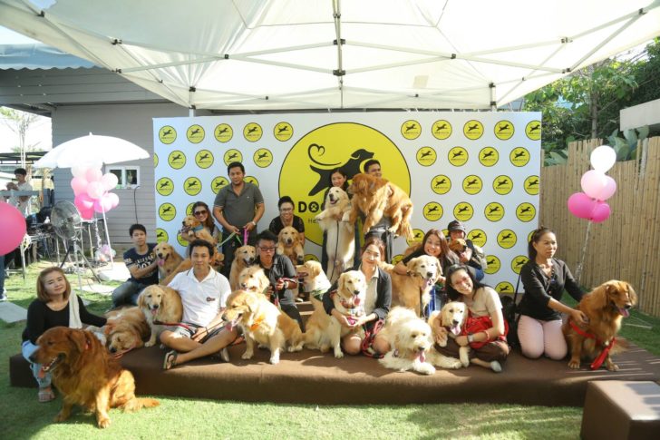 9. งานด็อก ซัมเมอร์ เฮาส์ ปาร์ตี้