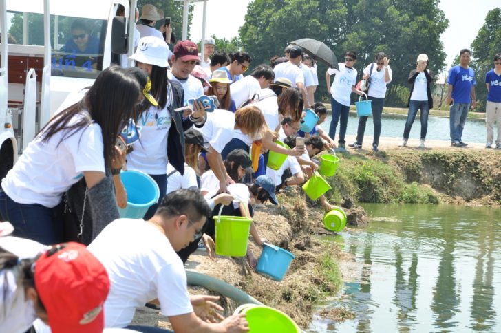 WP Energy Rally (3)