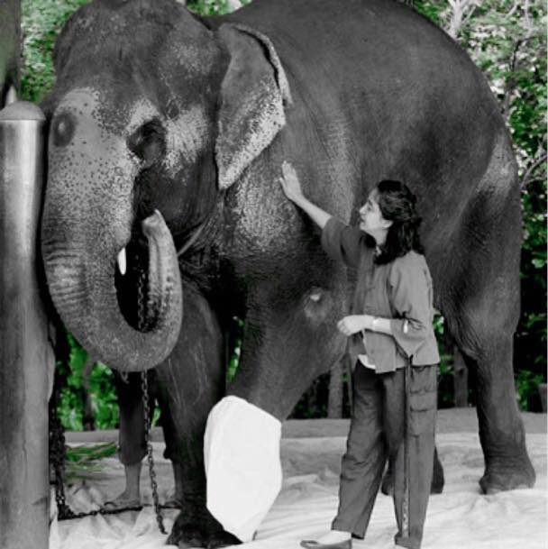 ขอบคุณภาพจากเฟซบุ๊ก Soraida Salwala (1)