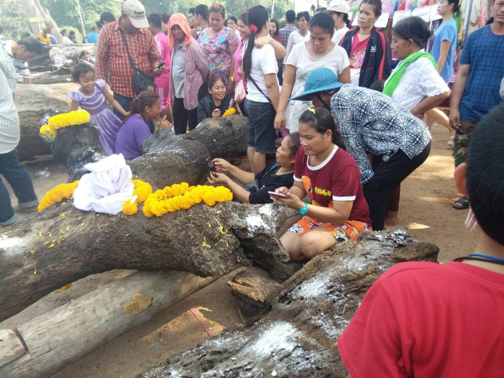 ขอหวย03