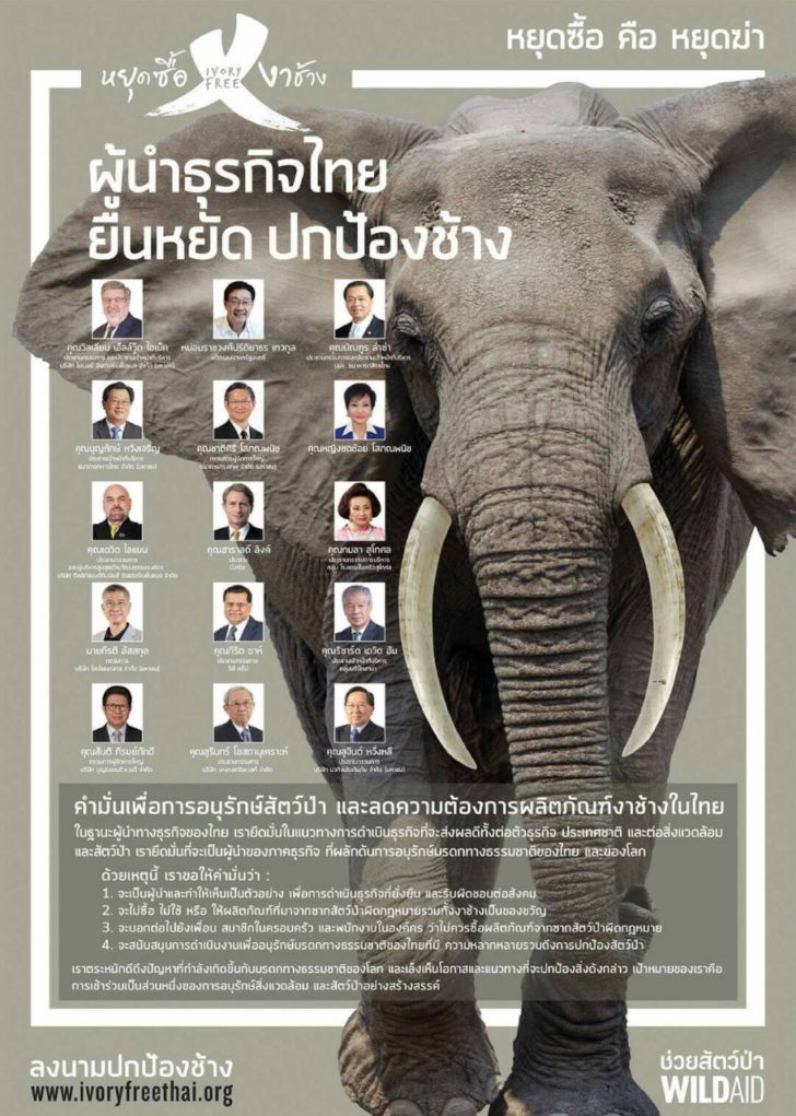 ช้างไทย