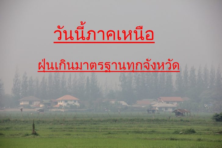ฝุ่น
