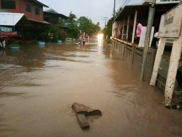 หนองบัว1