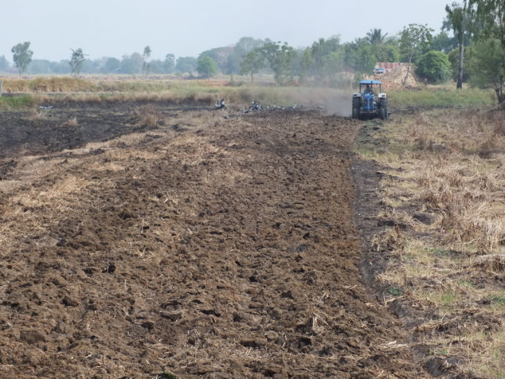 โคราชปรับหน้าดิน