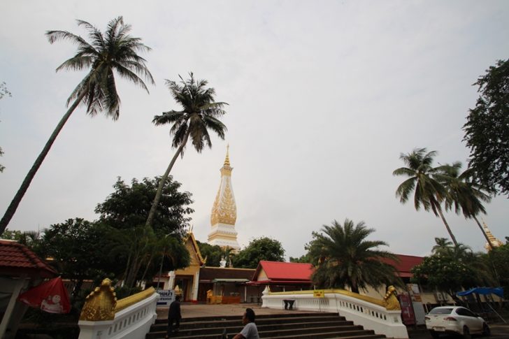 250460_ตรวจสอบตนไมวดพระธาต8_7