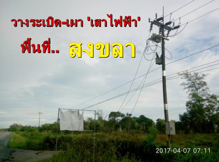 497919_0