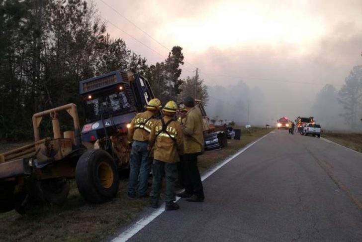 wildfire-florida