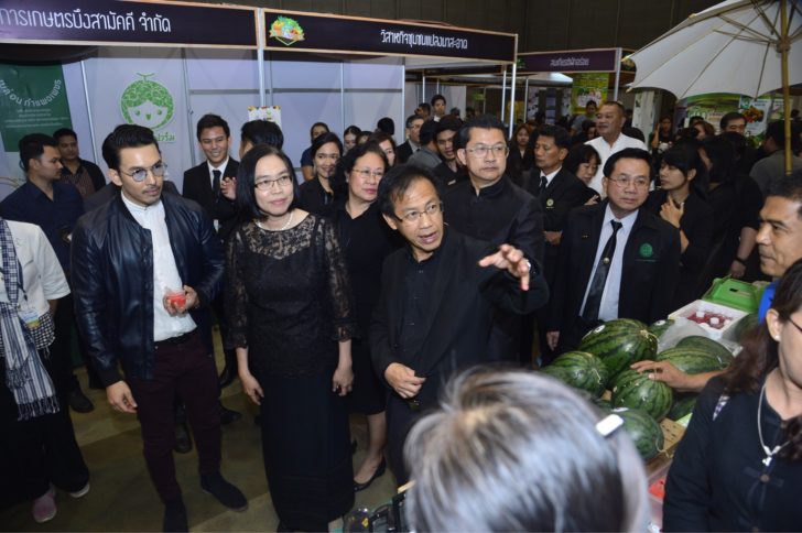 งานเกษตรปลอดภัย