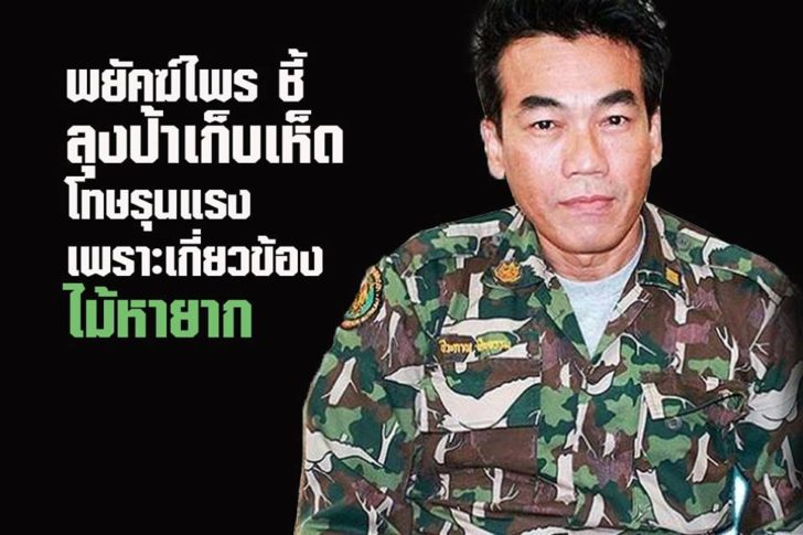 พยัคฆ์ไพร