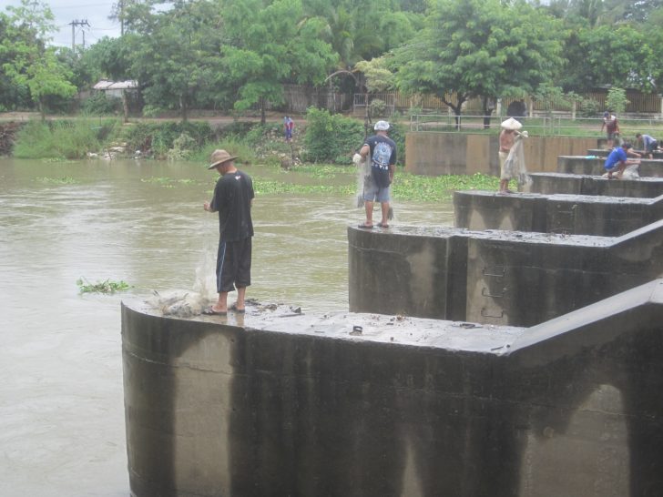 หาปลานำหลาก1