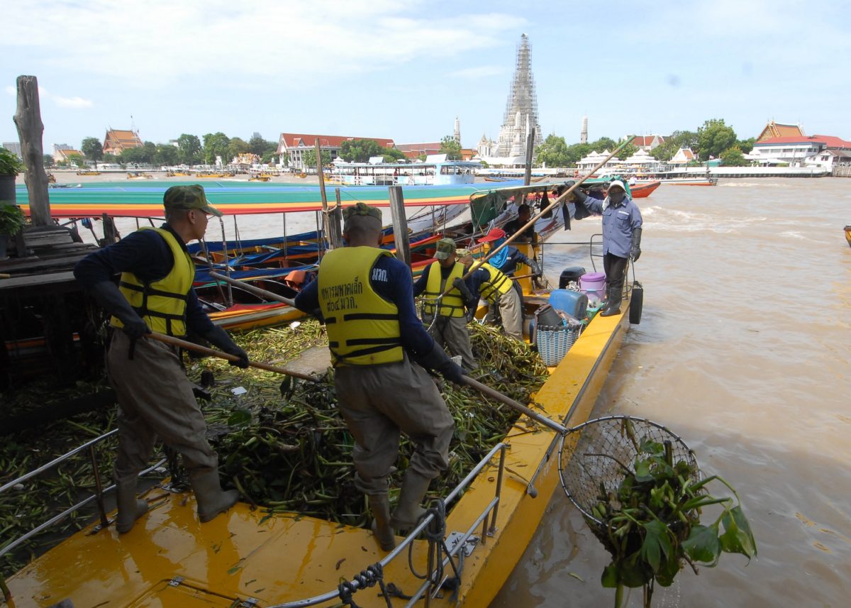 ร.10 โปรดเกล้าฯทหารมหาดเล็กกำจัดผักตบชวาแม่น้ำเจ้าพระยา
