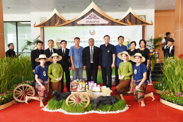 DSC_6893-696x464