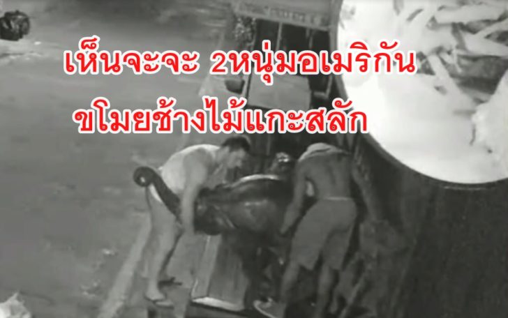 ขโมยช้าง
