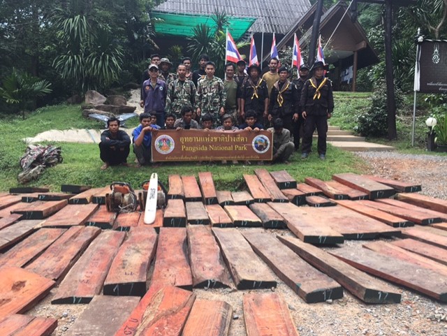 ป1