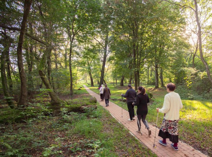 POLAND-SWITZERLAND-NATURE-HEALTH