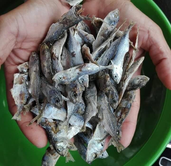 ลูกปลาทู