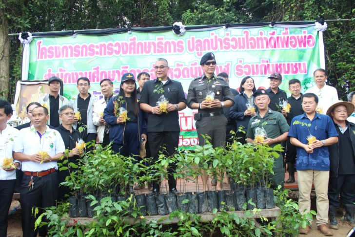 ปลูกป่า