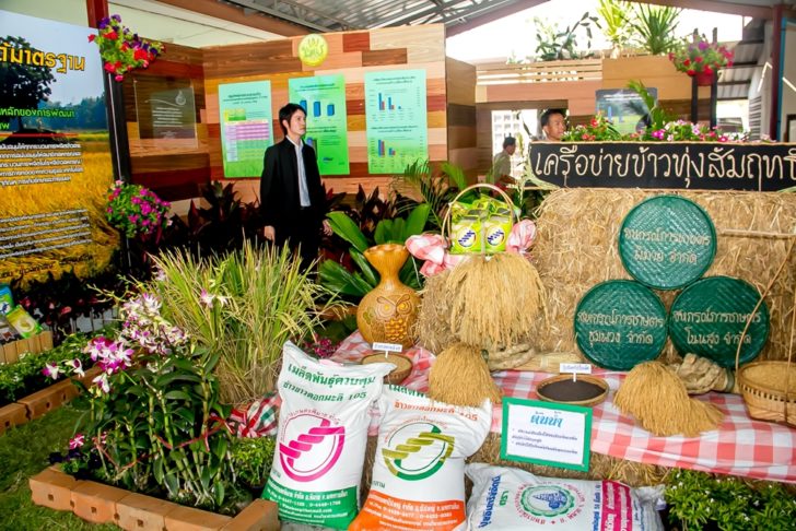 สหกรณ์การเกษตรพิมาย