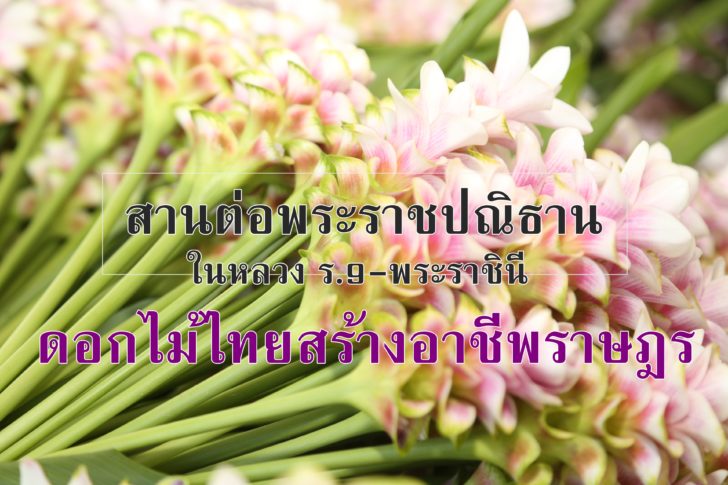 cover_flower