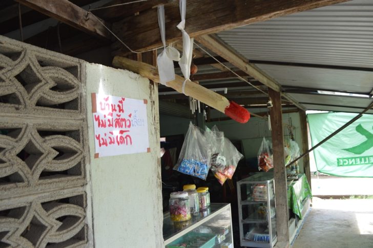 ผี1