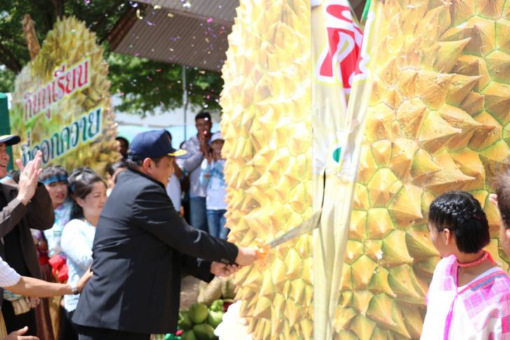ผ่าทุเรียน