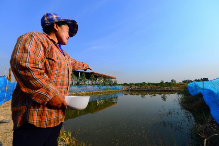 (โครงการทำตามพ่อโดยกลุ่มมิตร)_การทำเกษตร8