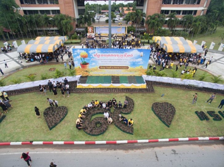 มมส2