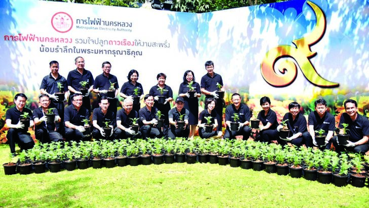 รวมใจปลูกดาวเรือง