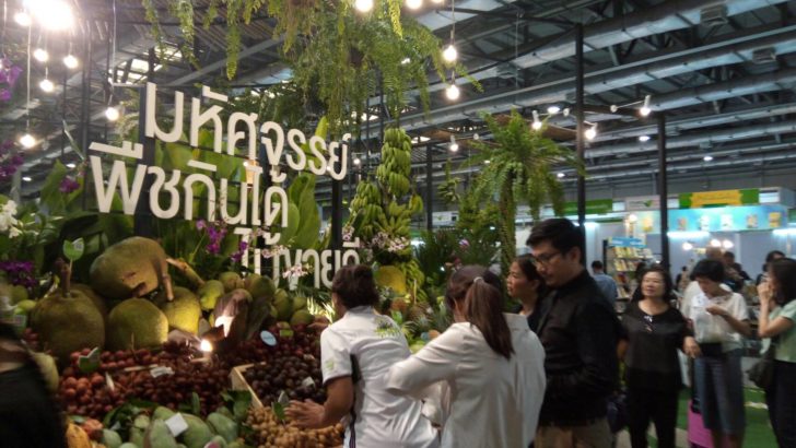 เกษตรมหัศจรรย์4