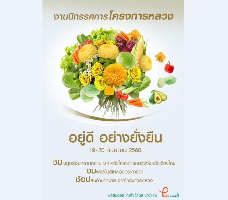 เทสโก โลตัส พลัส มอลล์