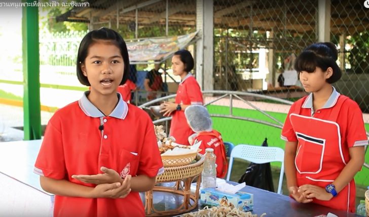 เพาะเห็ด