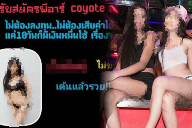 โคโยตี้