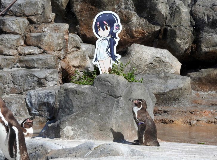 OFFBEAT-JAPAN-PENGUIN