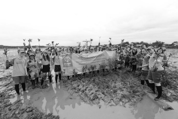 Photo_KSC_Mangrove Forest Planting_B