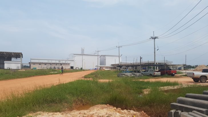 โรงงานแป้งมัน-อำนาจเจริญ1