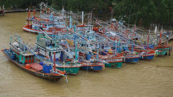 เรือประมง